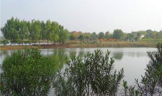 竹叶海公园 竹叶海公园